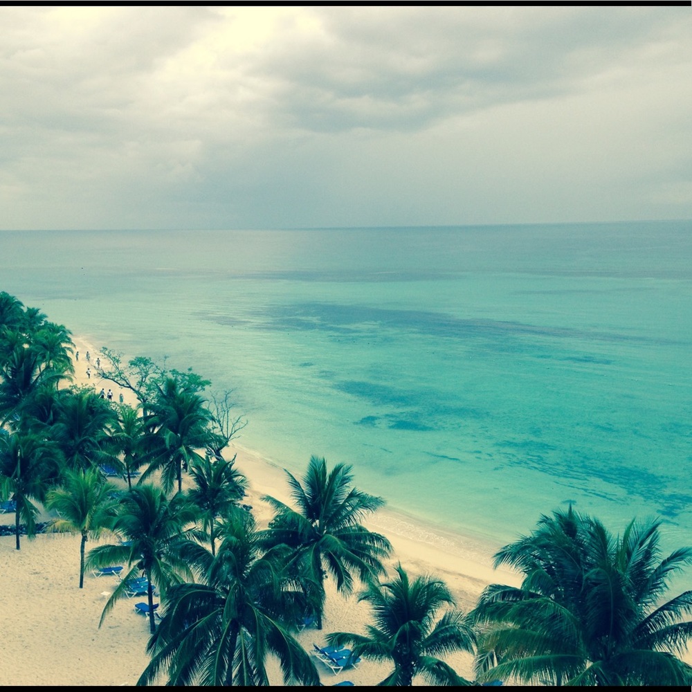 Meet your Posher, Shelly